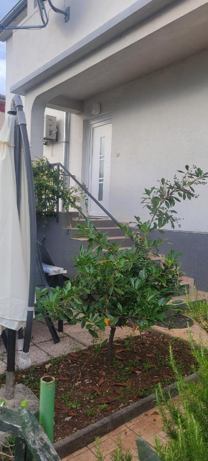 Apartmani Sonia Nijvice Zewnętrze zdjęcie